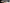 whalesbot