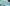whalesbot