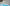 whalesbot
