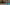 whalesbot