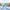 whalesbot
