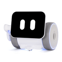 Pubbo