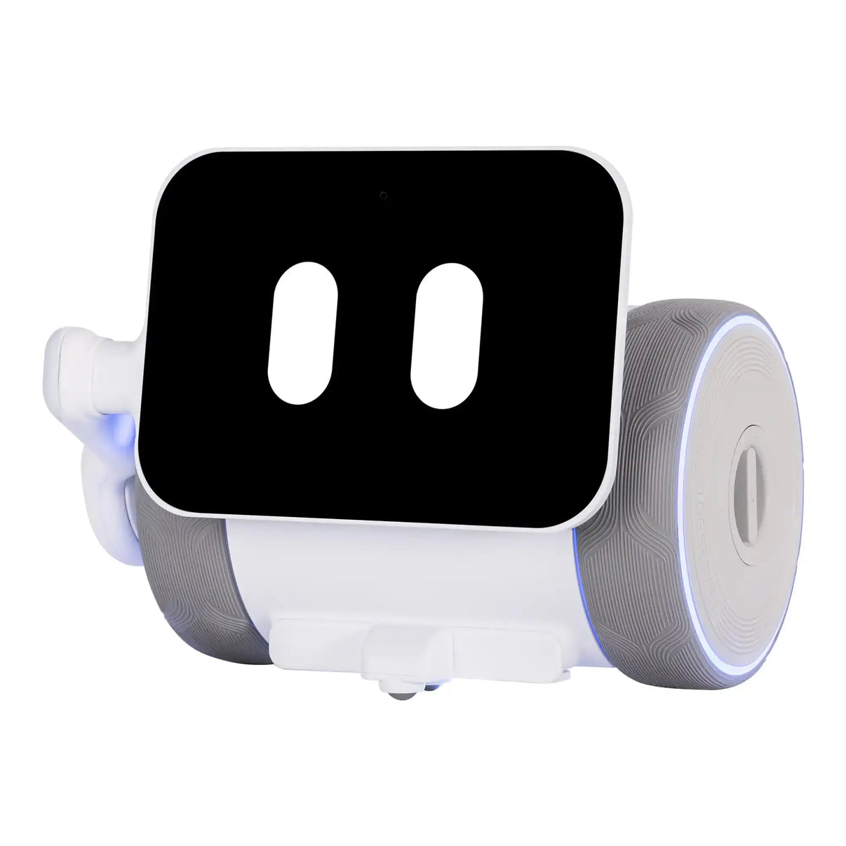 Pubbo Air WhalesBot