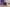 whalesbot