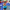 whalesbot