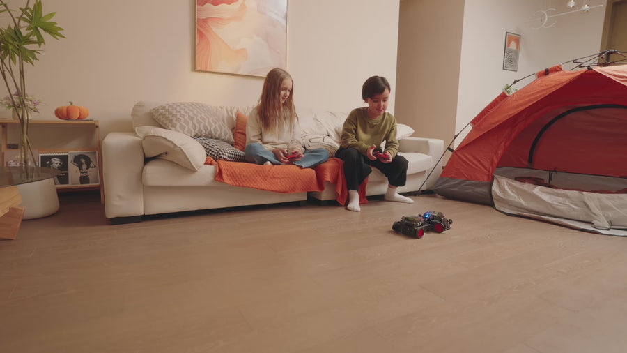 Carica video: 