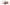 whalesbot