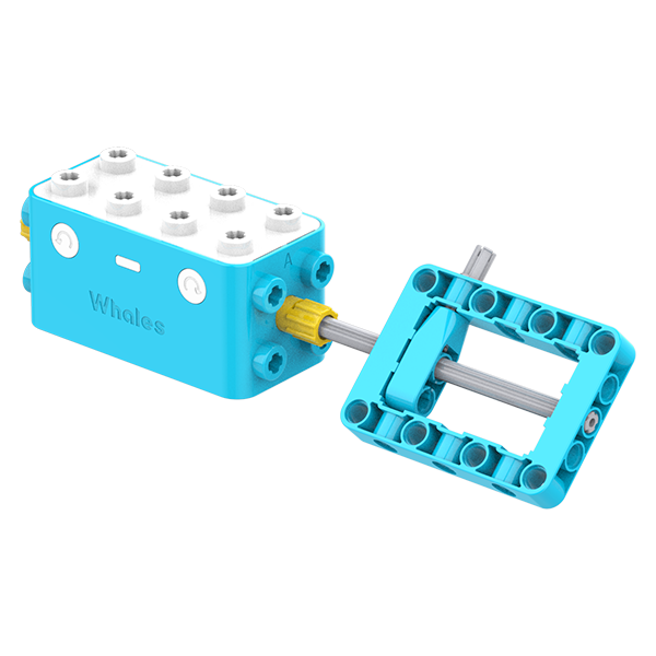 whalesbot